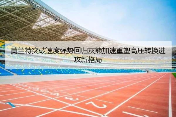 img_1785146273271_2082_1_485.jpg